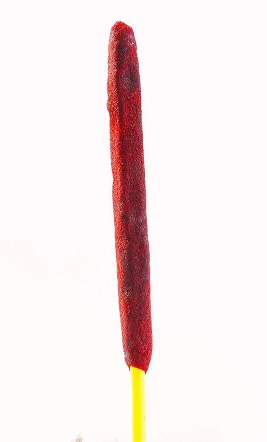 Tamarind Flavored candy Straw